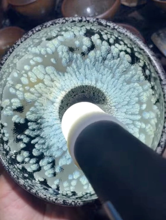 Today’s Live Selection-2026-03-28