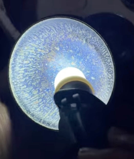 Today’s Live Selection-2026-03-29