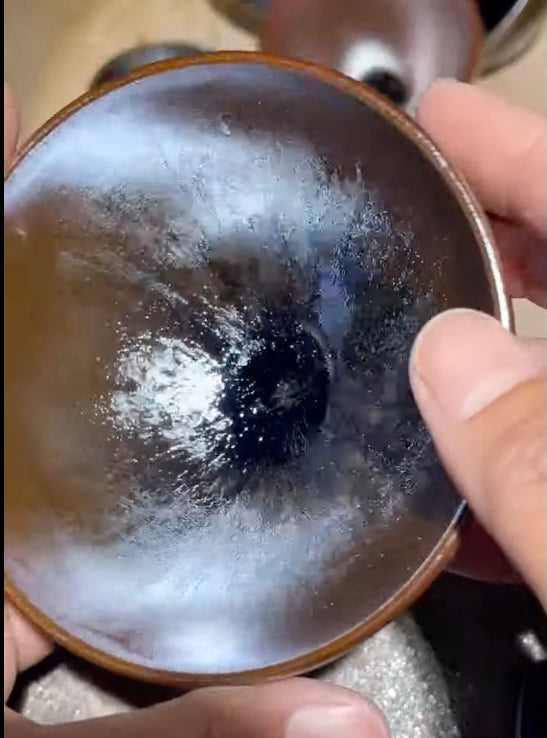 Today’s Live Selection-2026-03-29