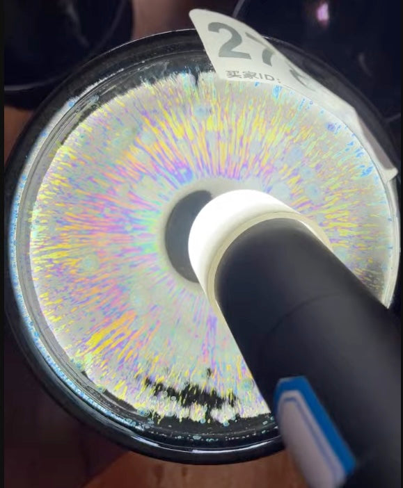 Today’s Live Selection-2026-03-05