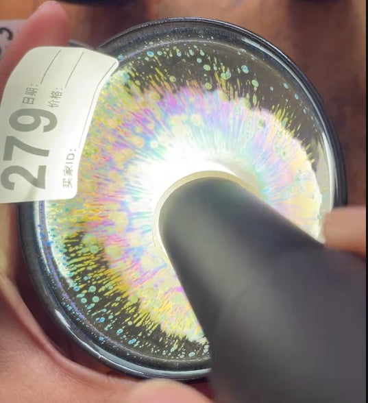 Today’s Live Selection-2026-03-05