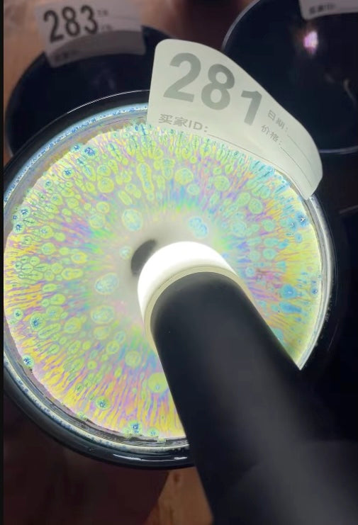 Today’s Live Selection-2026-03-05