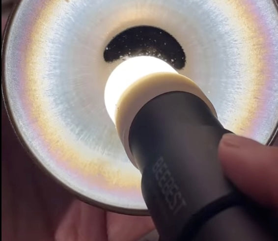 Today’s Live Selection-2026-03-29