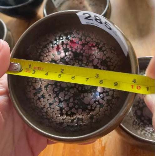 Today’s Live Selection-2026-03-05