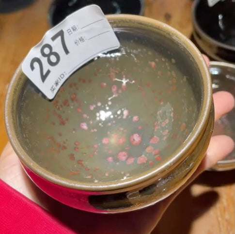 Today’s Live Selection-2026-03-05