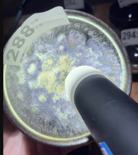 Today’s Live Selection-2026-03-05