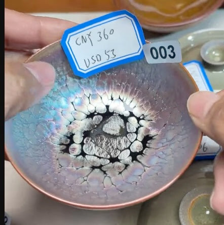 Today’s Live Selection-2026-02-26