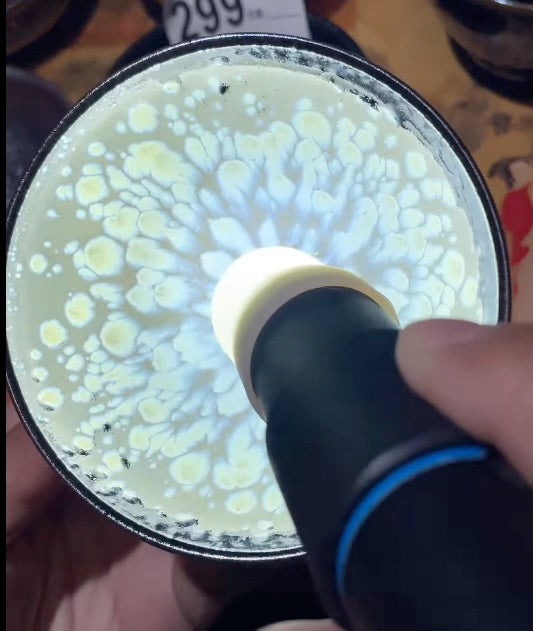 Today’s Live Selection-2026-03-31