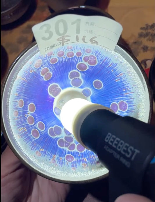 Today’s Live Selection-2026-03-31