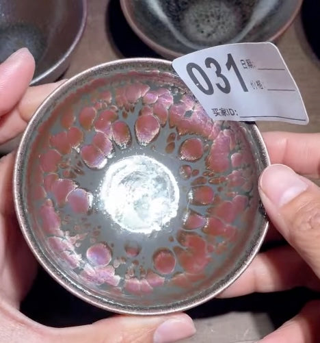 Today’s Live Selection-2026-02-28