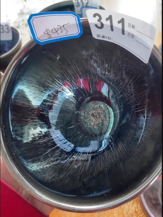 Today’s Live Selection-2026-03-05