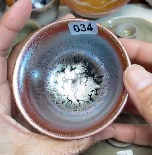 Today’s Live Selection-2026-02-26