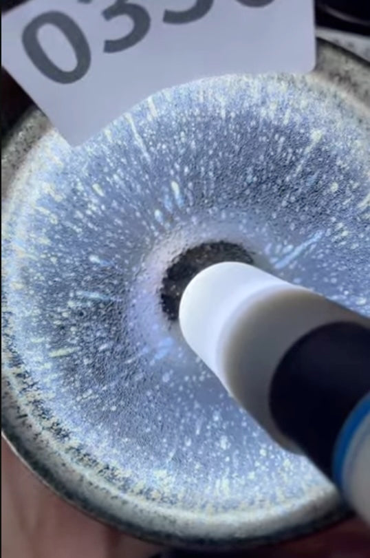 Today’s Live Selection-2026-03-23