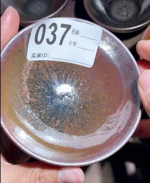 Today’s Live Selection-2026-02-28