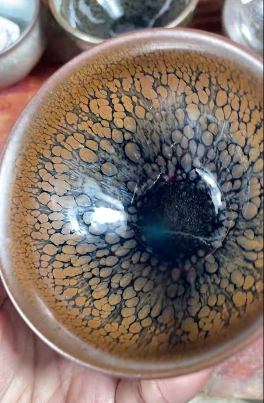 Today’s Live Selection-2026-04-03