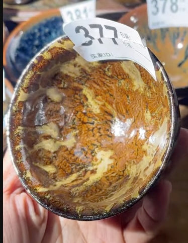 Today’s Live Selection-2026-03-06