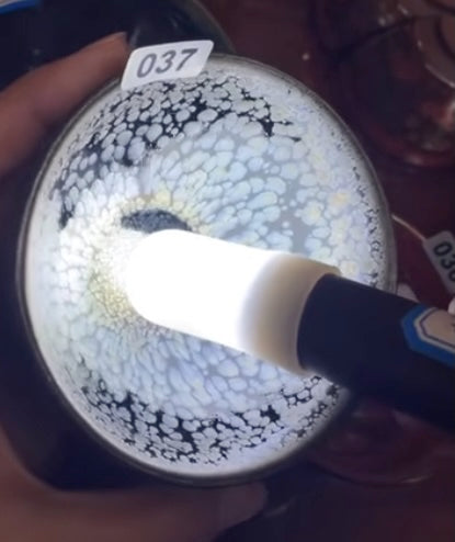 Today’s Live Selection-2026-02-24