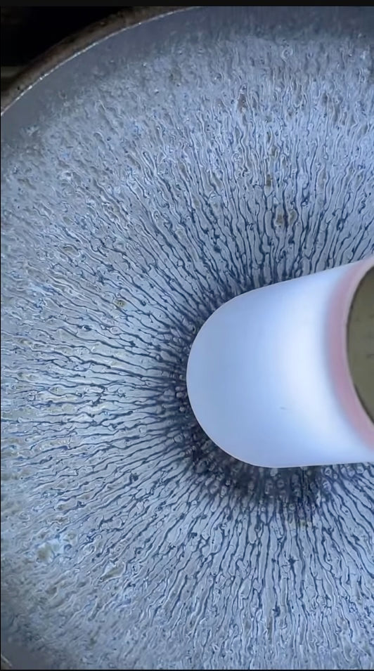 Today’s Live Selection-2026-04-03