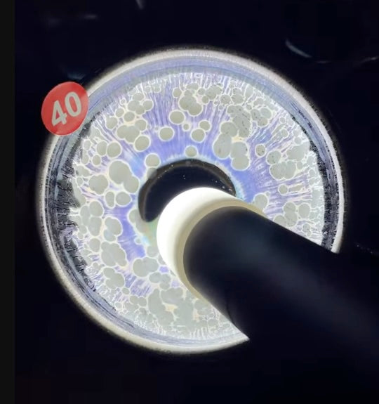 Today’s Live Selection-2026-02-28