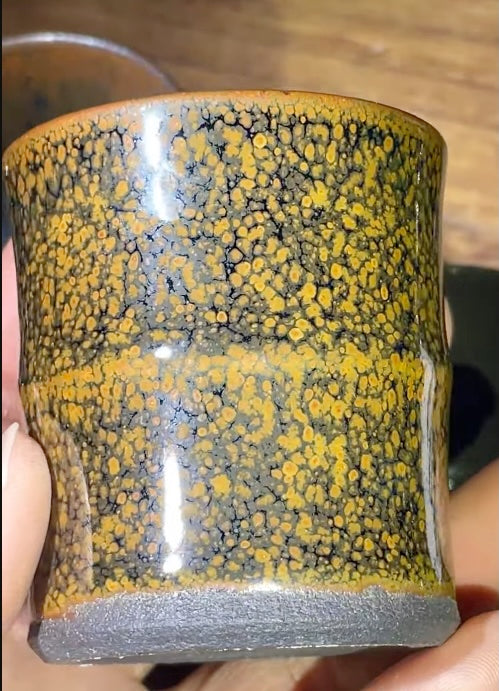 Today’s Live Selection-2026-03-06