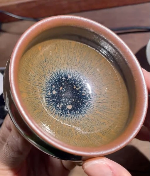 Today’s Live Selection-2026-03-08