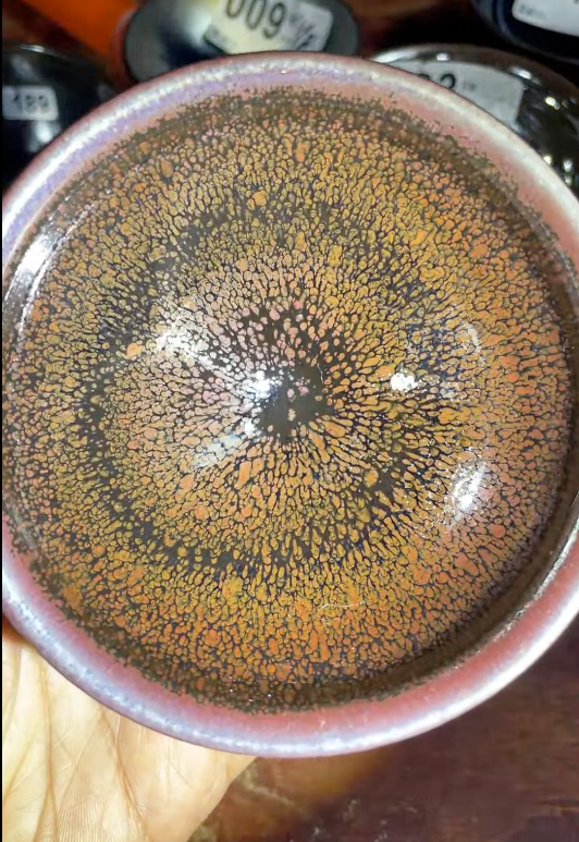 Today’s Live Selection-2026-04-26