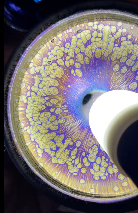 Today’s Live Selection-2026-04-05