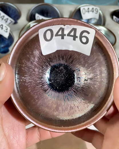 2026 February YouTube open kiln Jianzhan cup revealing!  二月直播精品