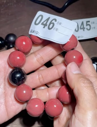 Today’s Live Selection-2026-02-28