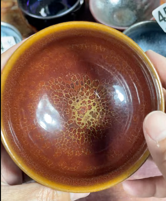 Today’s Live Selection-2026-04-07