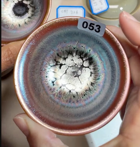 Today’s Live Selection-2026-02-26