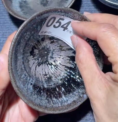 Today’s Live Selection-2026-03-01