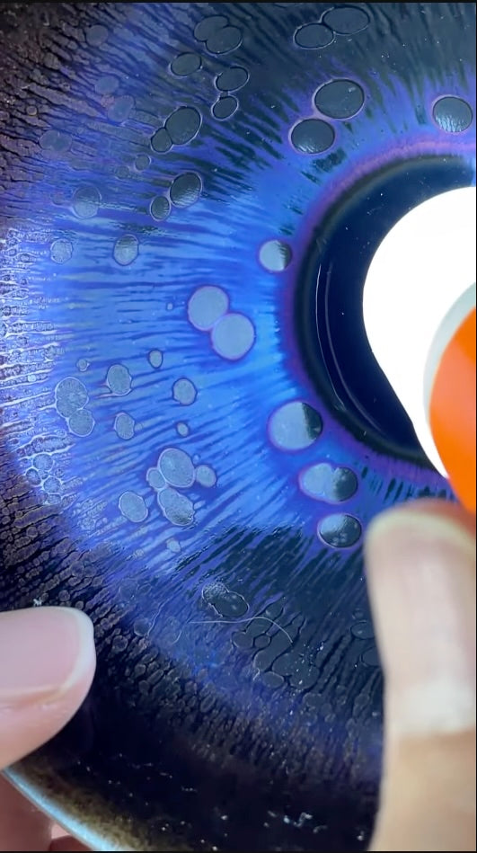 Today’s Live Selection-2026-04-19