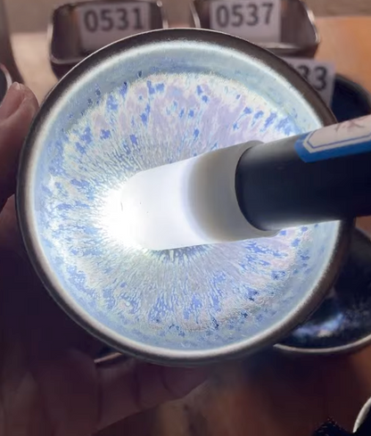 2026 February YouTube open kiln Jianzhan cup revealing!  二月直播精品