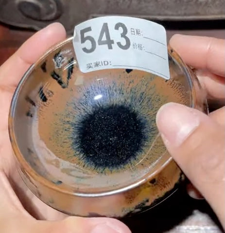 Today’s Live Selection-2026-03-13