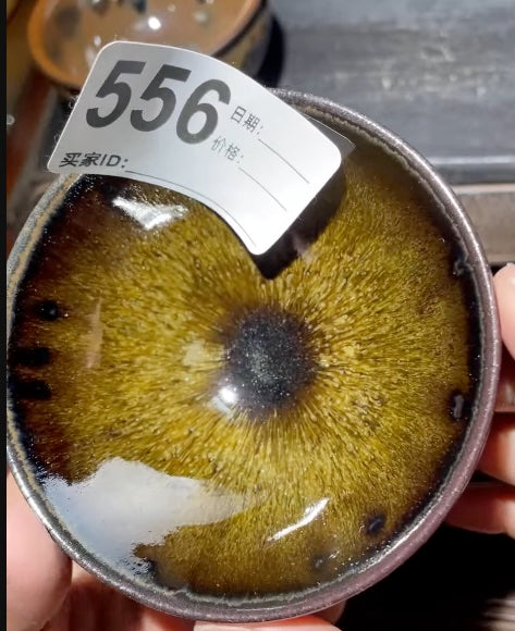 Today’s Live Selection-2026-03-13