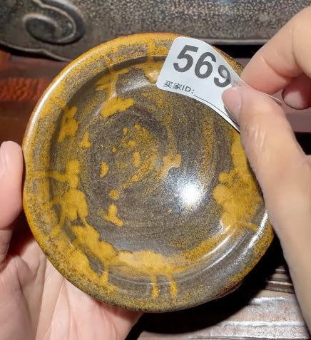 Today’s Live Selection-2026-03-13