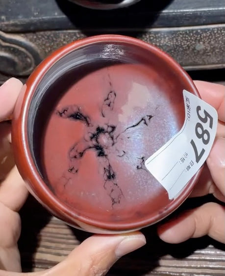 Today’s Live Selection-2026-03-13