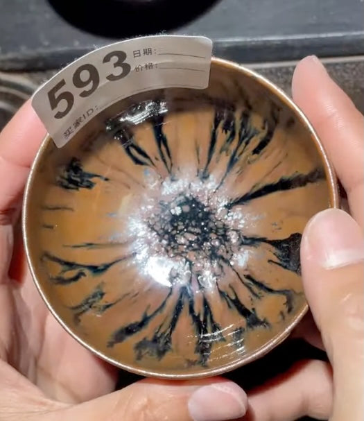 Today’s Live Selection-2026-03-13