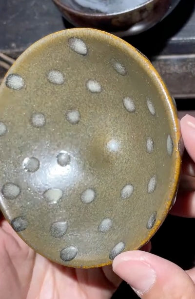 Today’s Live Selection-2026-03-13