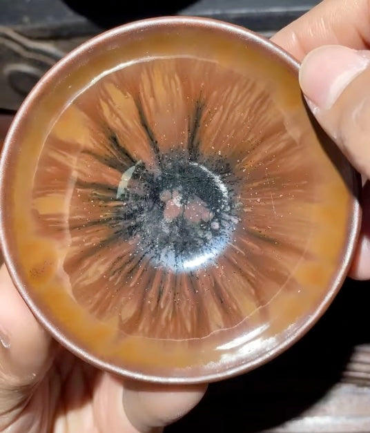 Today’s Live Selection-2026-03-13