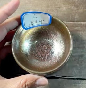 Today’s Live Selection-2026-02-25