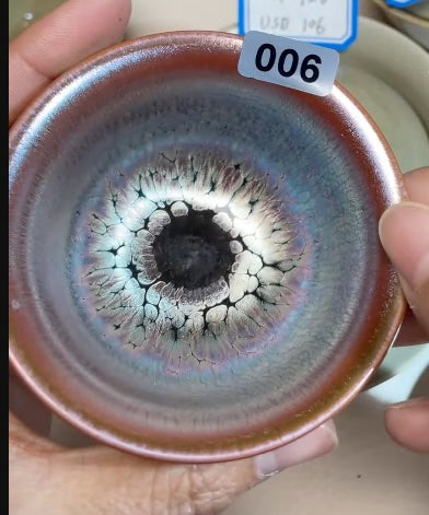 Today’s Live Selection-2026-02-26