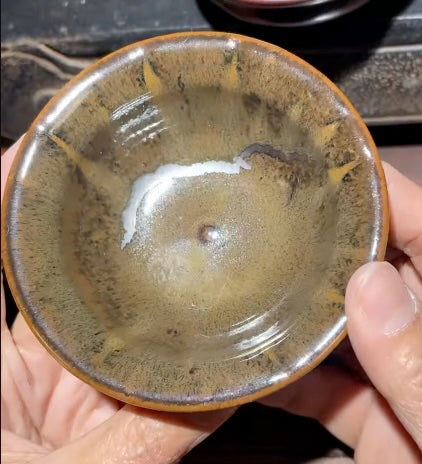 Today’s Live Selection-2026-03-13