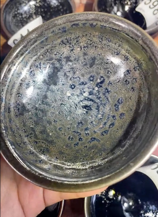 Today’s Live Selection-2026-04-14