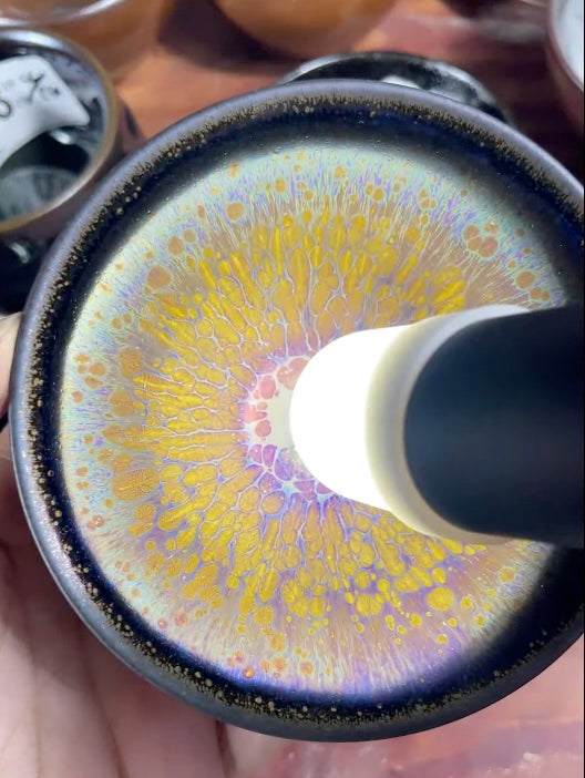 Today’s Live Selection-2026-04-14