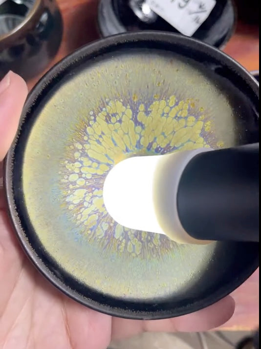 Today’s Live Selection-2026-04-14