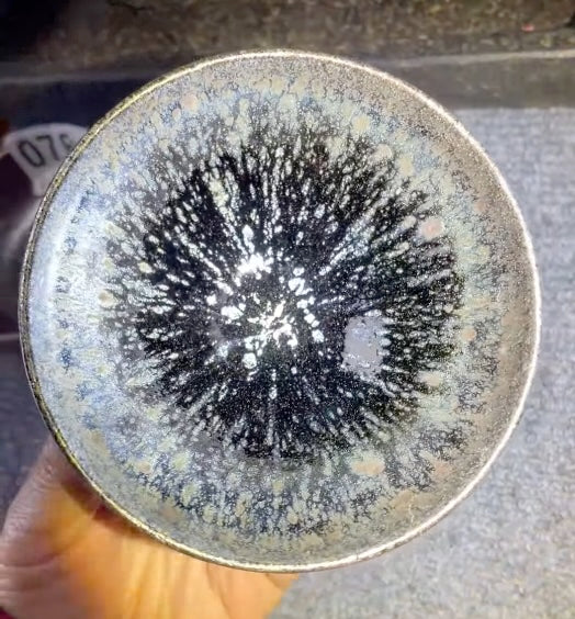 Today’s Live Selection-2026-03-01