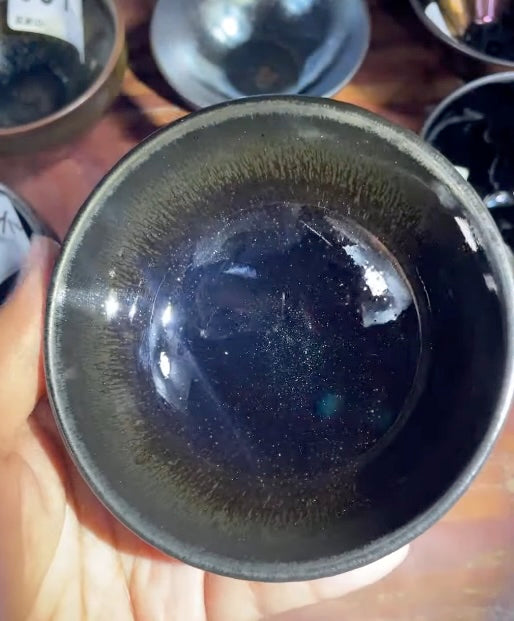 Today’s Live Selection-2026-04-14