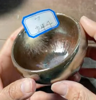 Today’s Live Selection-2026-02-25